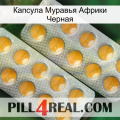 Капсула Муравья Африки Черная levitra2